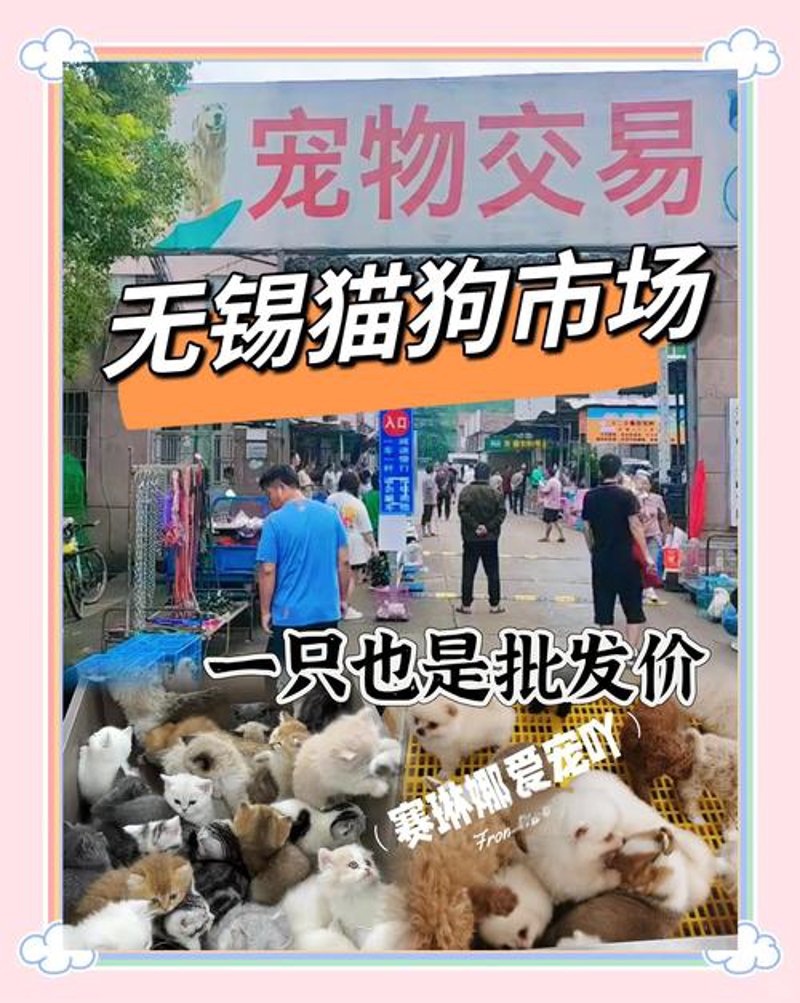 走进无锡商贸公司的发展轨迹与行业趋势